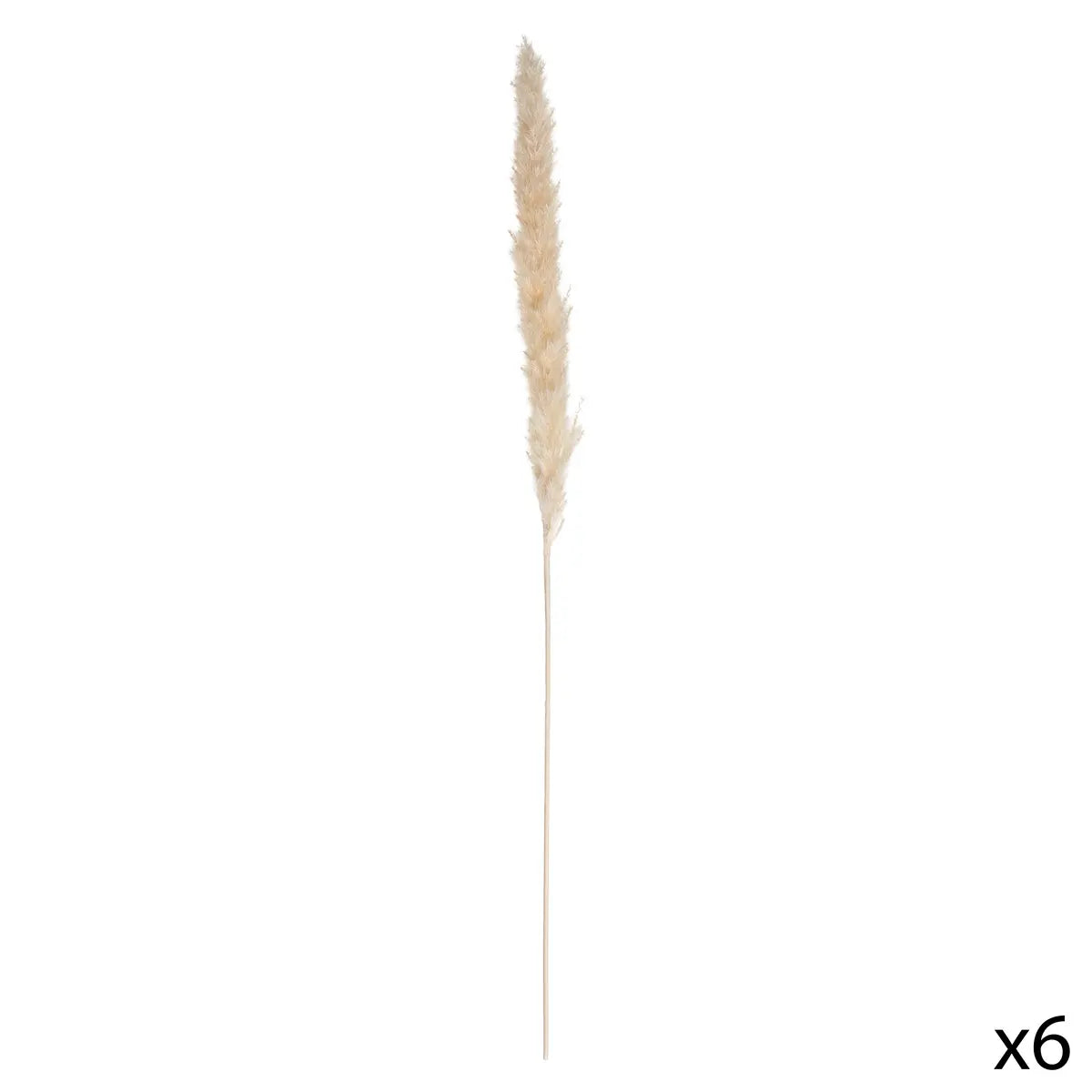 Plantă artificială Atmosphera Natural Pampa, 65cm, 6 buc, bej