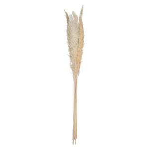 Plantă artificială Atmosphera Natural Pampa, 65cm, 6 buc, bej