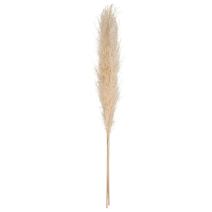 Plantă artificială Atmosphera Natural Pampa, 110cm, 3 buc, bej
