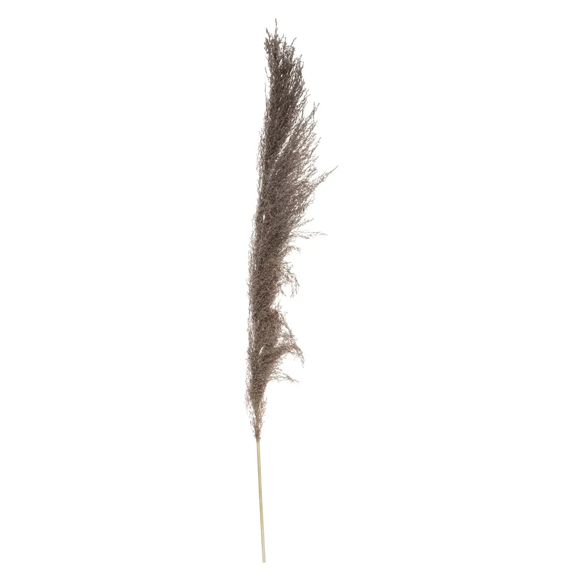 Plantă artificială Atmosphera Natural Pampa, 110cm, 3 buc, maro