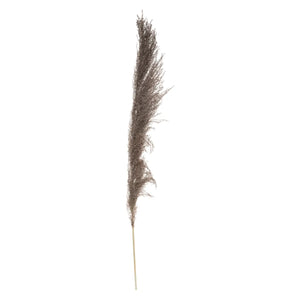 Plantă artificială Atmosphera Natural Pampa, 110cm, 3 buc, maro