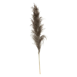 Plantă artificială Atmosphera Natural Pampa, 110cm, 3 buc, maro