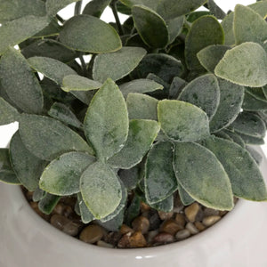 Atmosferă vegetală artificială, 19 cm, diverse specii