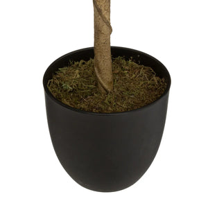 Plantă artificială Atmosphera Lemon Tree, 70 cm
