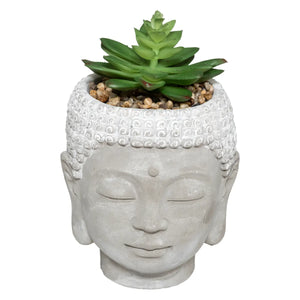 Plantă artificială Atmosphere Buddha, 13,5 cm, diverse specii