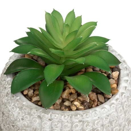 Plantă artificială Atmosphere Buddha, 13,5 cm, diverse specii