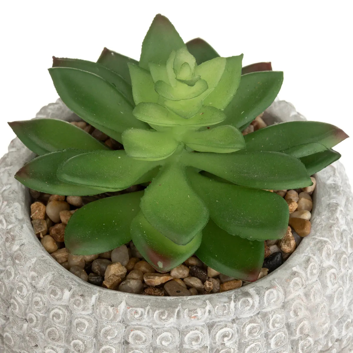 Plantă artificială Atmosphere Buddha, 13,5 cm, diverse specii