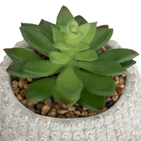 Plantă artificială Atmosphere Buddha, 13,5 cm, diverse specii