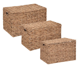 Set cutii de depozitare Atmosphera Origins, 3 buc., Zambilă de apă