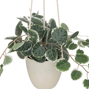 Plante artificiale Atmosphera Lour, 80 cm