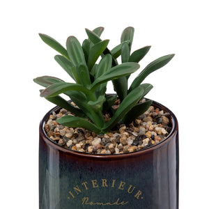 Atmosferă de plantă artificială Botanic, 10 cm