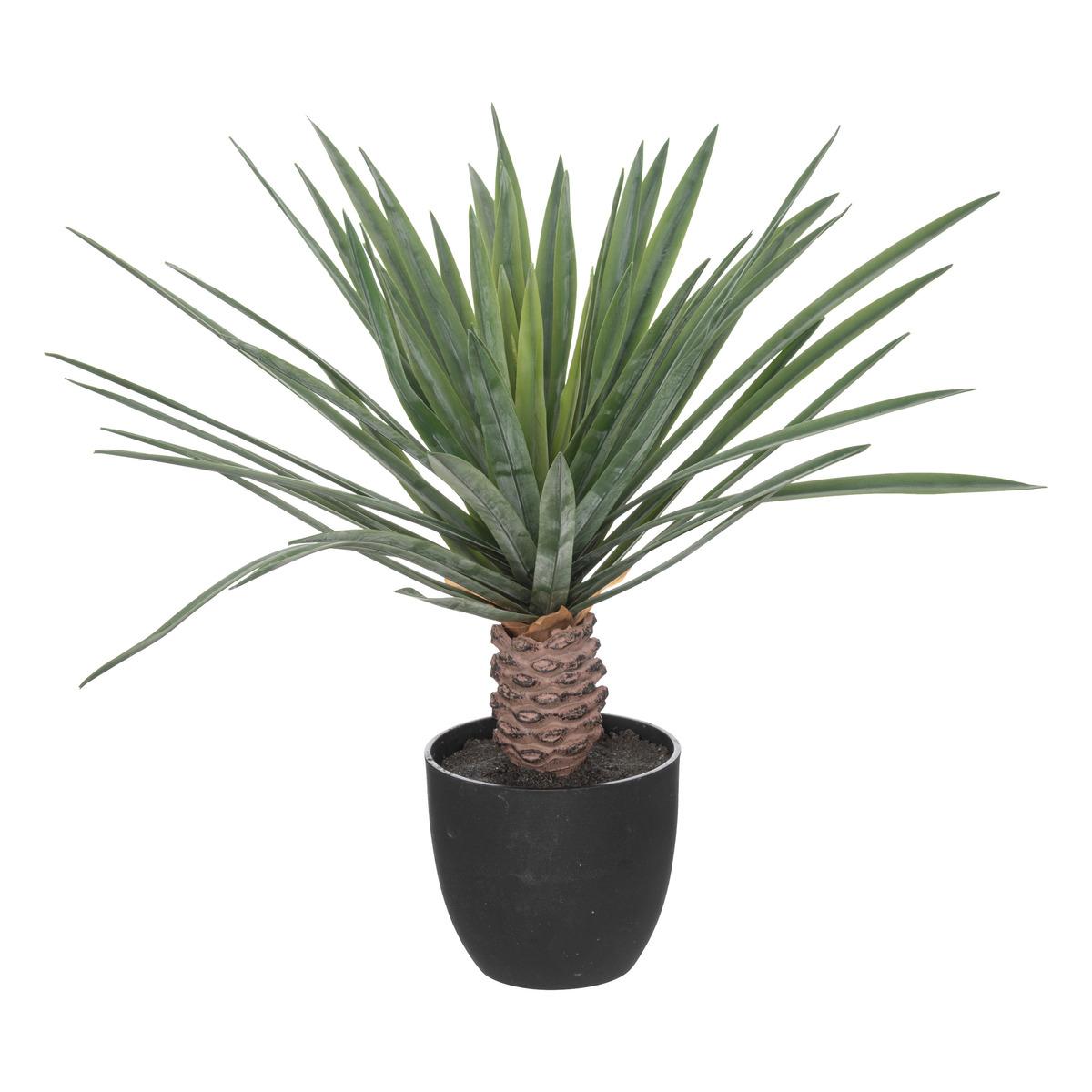 Atmosfera de plante artificiale Rivi, 52 cm