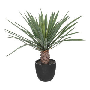 Atmosfera de plante artificiale Rivi, 52 cm
