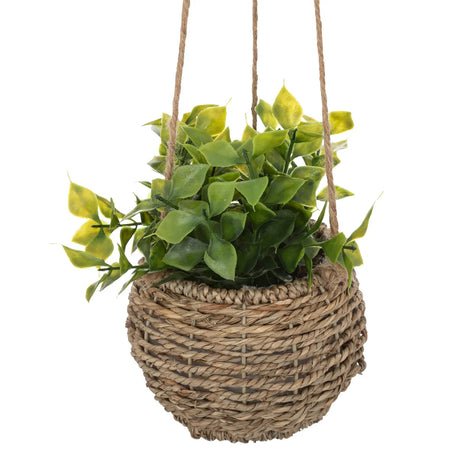 Atmosferă de plantă artificială Zoe, 17 cm, diverse specii