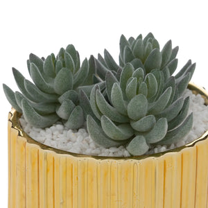 Atmosfera de plante artificiale Le Collectionneur, 14 cm