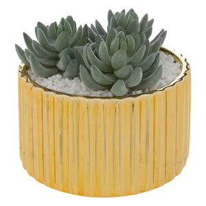 Atmosfera de plante artificiale Le Collectionneur, 14 cm