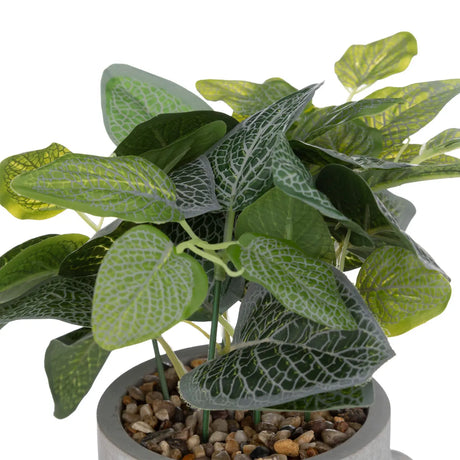 Atmosferă vegetală artificială, 26 cm