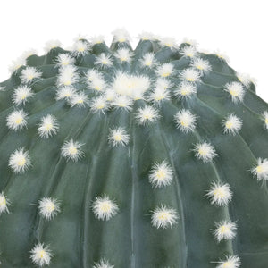 Atmosferă de plantă artificială Cactus Panama exotic, 25 cm