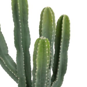 Atmosferă de plantă artificială Cactus Panama exotic, 117 cm