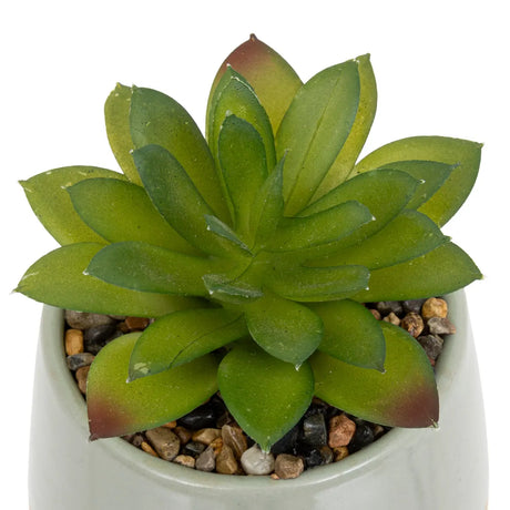 Atmosferă de plantă artificială Be Vintage, 12 cm, diverse specii