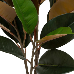 Atmosfera de plante artificiale Agnolia, 76 cm