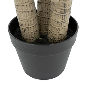 Atmosfera de plante artificiale Dracena Tree Onia, 105 cm