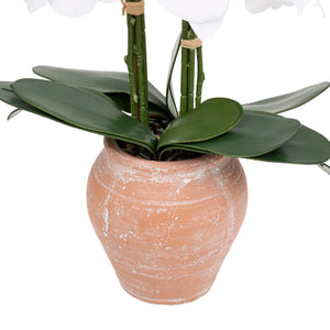 Flori artificiale Atmosphera Orhidee Dena, 65 cm