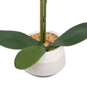Изкуствено цвете atmosphera Clera Orchid, 52 cm