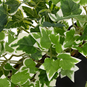 Plantă artificială Atmosphera Curt Hanging, 35 cm