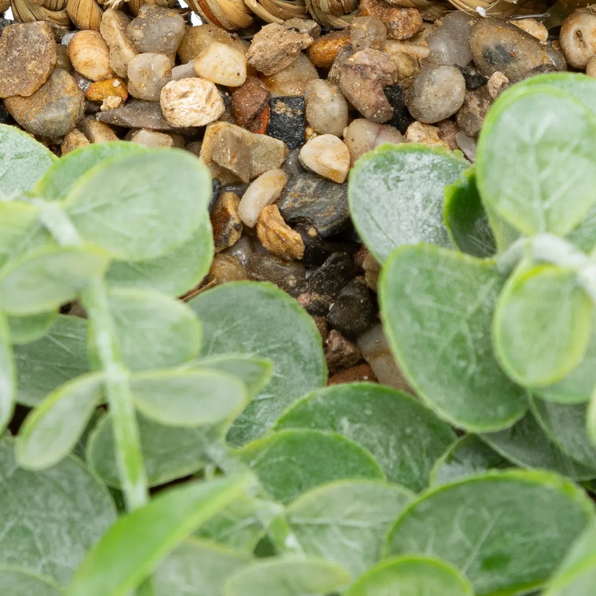 Plantă artificială Atmosphera Zea Eucalipt suspendat, 70 cm