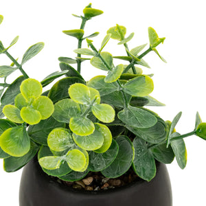 Atmosferă de plantă artificială Livy, 17 cm, diverse specii