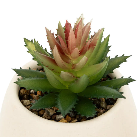 Atmosferă de plantă artificială Livy, 17 cm, diverse specii