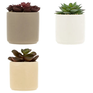 Atmosferă de plantă artificială Nils, 12 cm, diverse specii