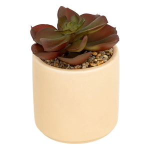 Atmosferă de plantă artificială Nils, 12 cm, diverse specii