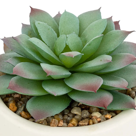 Atmosferă de plantă artificială Nils, 12 cm, diverse specii