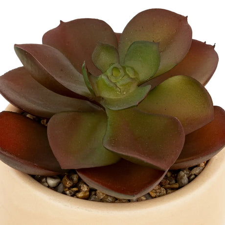 Atmosferă de plantă artificială Nils, 12 cm, diverse specii