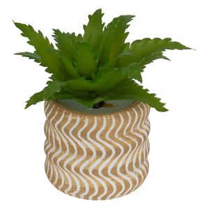 Plantă artificială Atmosphera Ubi Succulent, 7 cm, diverse specii