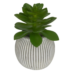 Plantă artificială Atmosphera Ubi Succulent, 7 cm, diverse specii