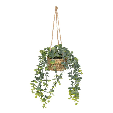 Plantă artificială Atmosphera Patri suspendată, 50 cm, diverse specii