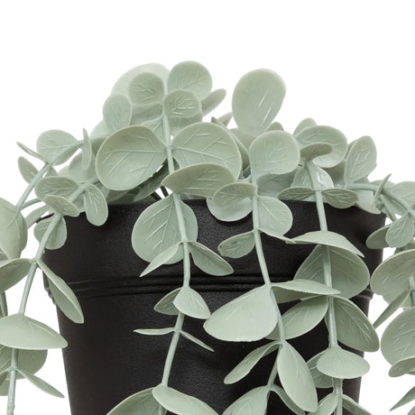 Atmosferă de plantă artificială Eucalipt Merly, 51 cm, diverse specii