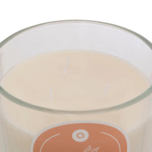 Ароматна свещ atmosphera Floa, Стъкло, 610 g