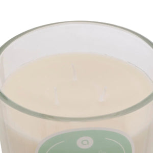 Ароматна свещ atmosphera Floa, Стъкло, 610 g