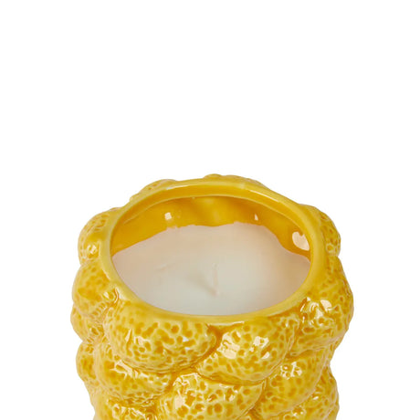 Lumânare parfumată Atmosphera Yucatan, Citrice, Ceramică, 330 g