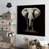 Πίνακας atmosphera Elephant, τύπωμα σε καμβά, 100 x 100 εκ.