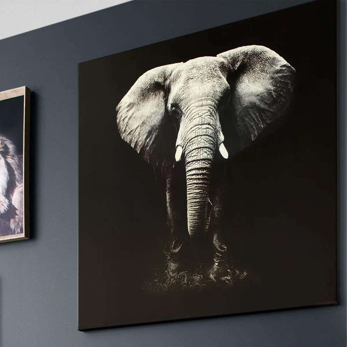 Tablou atmosferă Elefant, Imprimeu pe pânză 100x100 cm