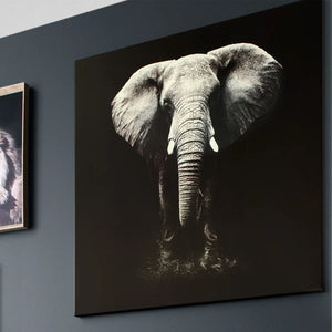 Tablou atmosferă Elefant, Imprimeu pe pânză 100x100 cm