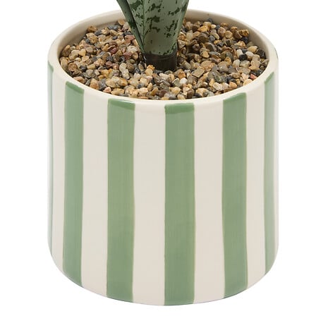 Atmosfera de plante artificiale Sansevieria Chéri, 38 cm