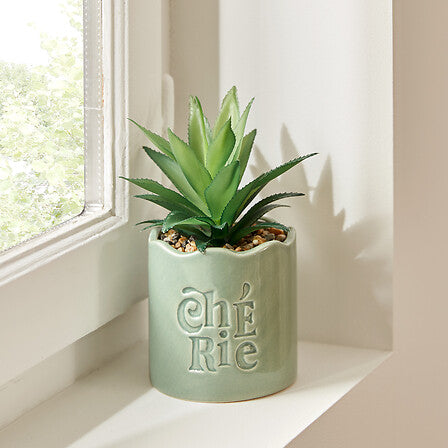 Plantă artificială Atmosphere Chéri, 17 cm, diverse specii