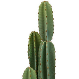 Τεχνητό φυτό atmosphera Sien Cactus, 132 εκ.