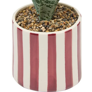Atmosfera de plante artificiale Sansevieria Chéri, 38 cm